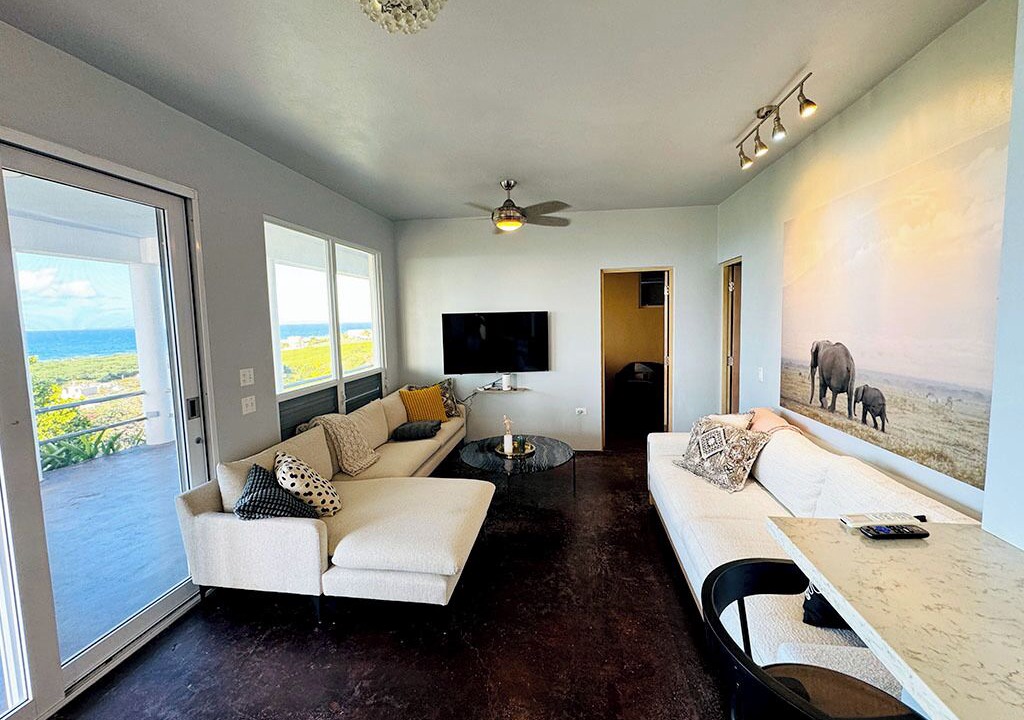 Photo of Livingroom in Villa Borinquen