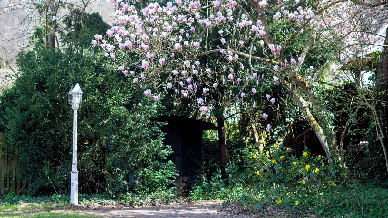 Photo of Outdoor in Kurrenberg