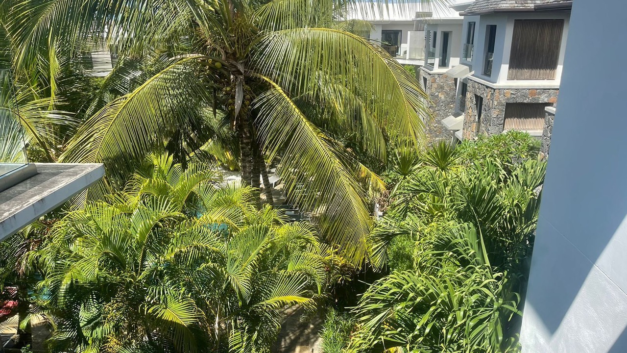Photo of Outdoor in Roches Noires