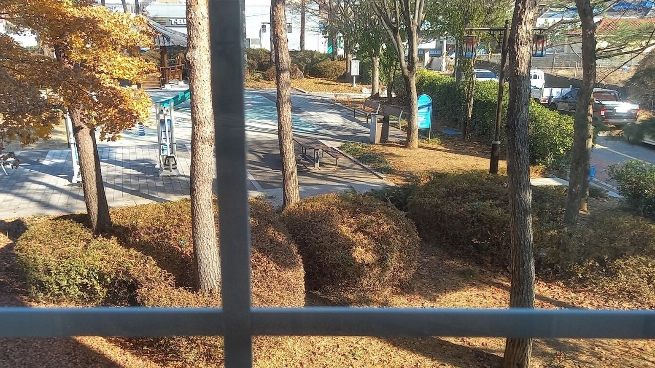 Photo of Outdoor in Pyeongtaek