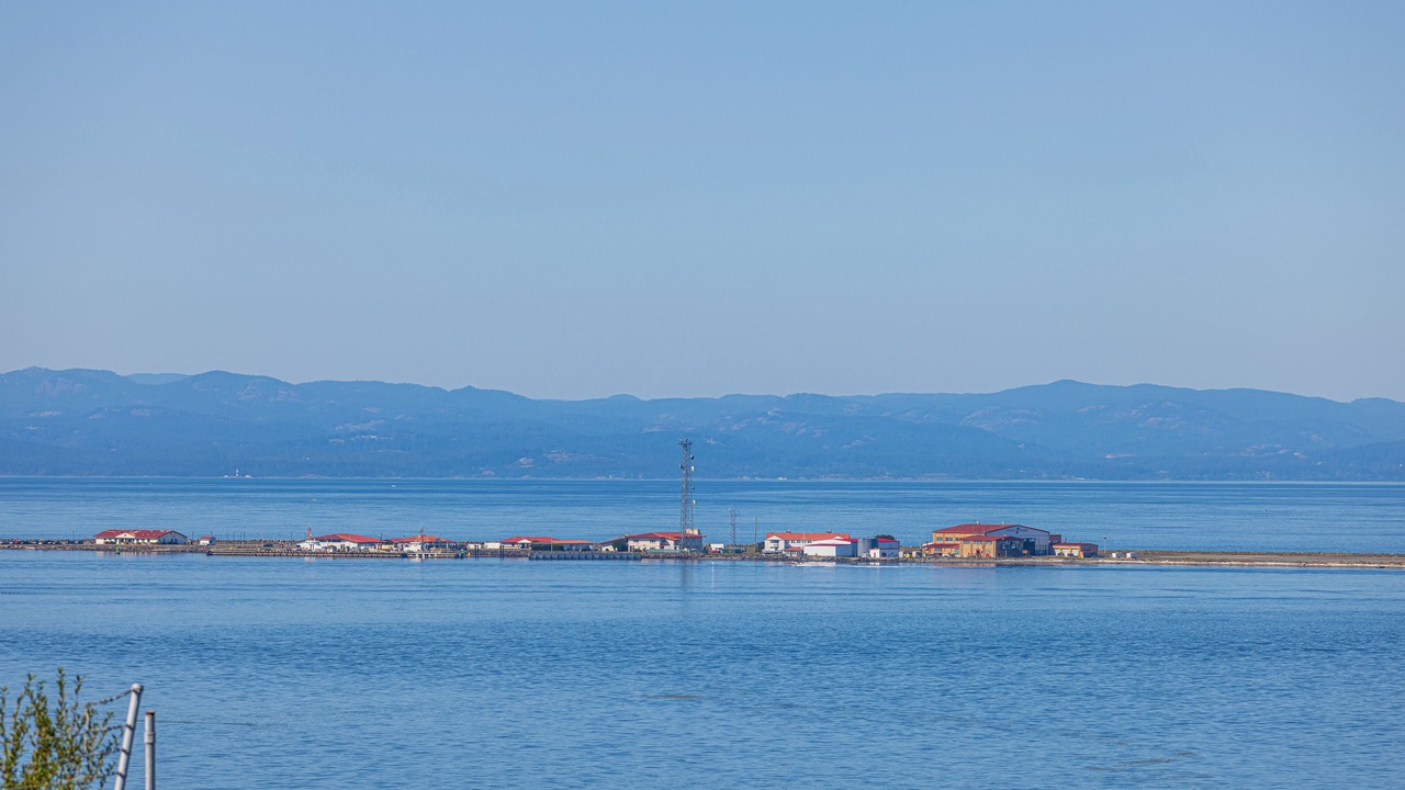 Photo of Others in Port Angeles East