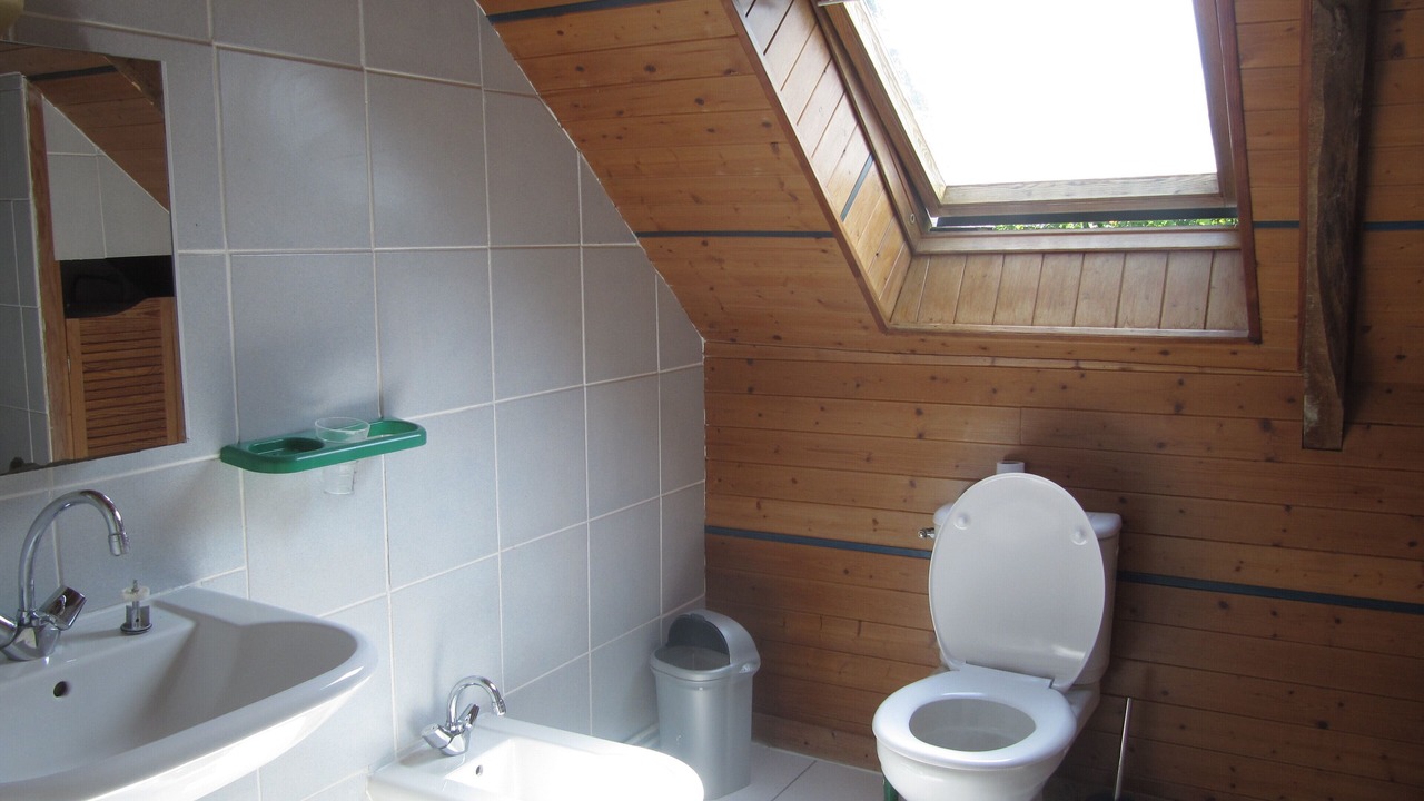 Photo of Bathroom in Leuhan