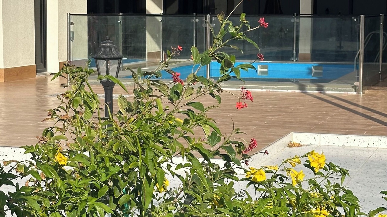 Photo of Outdoor in Sur