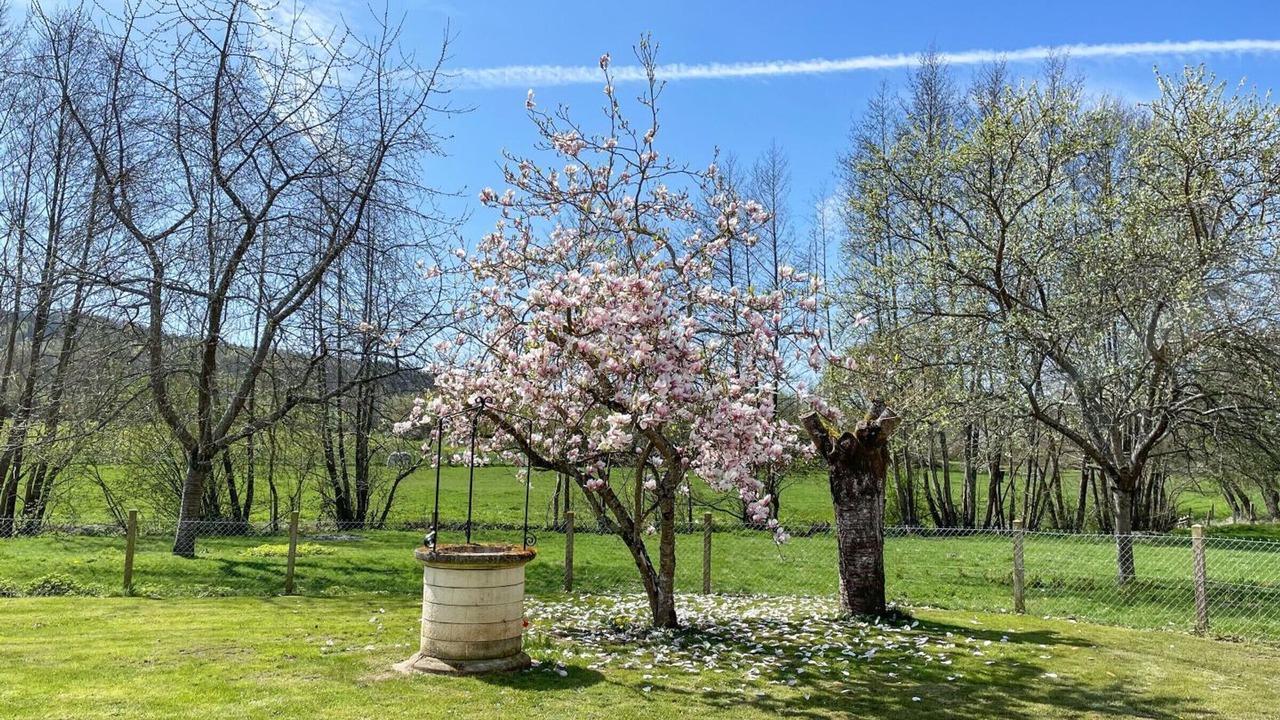 Photo of Outdoor in Moutiers au Perche