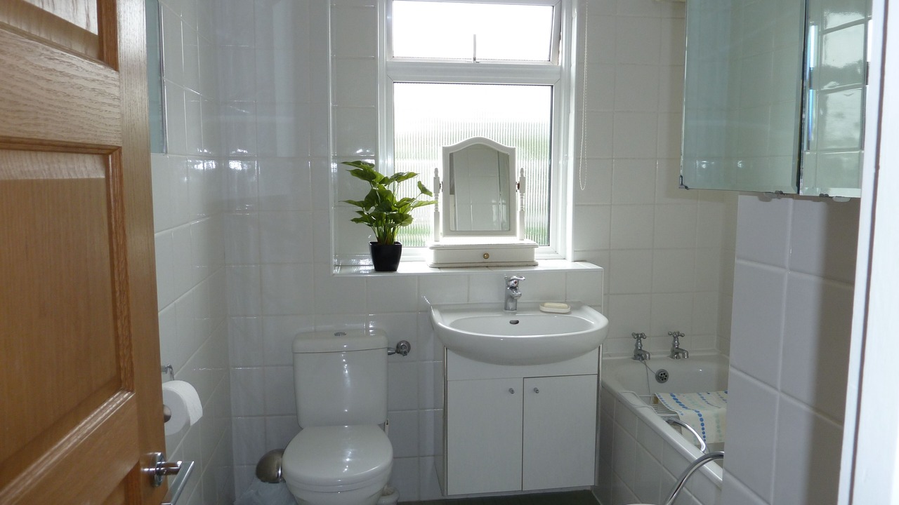 Photo of Bathroom in South Richmond