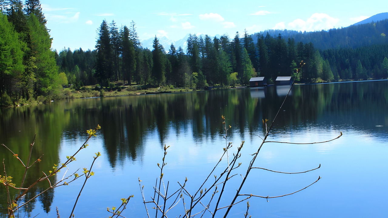 Photo of Others in Bad Mitterndorf