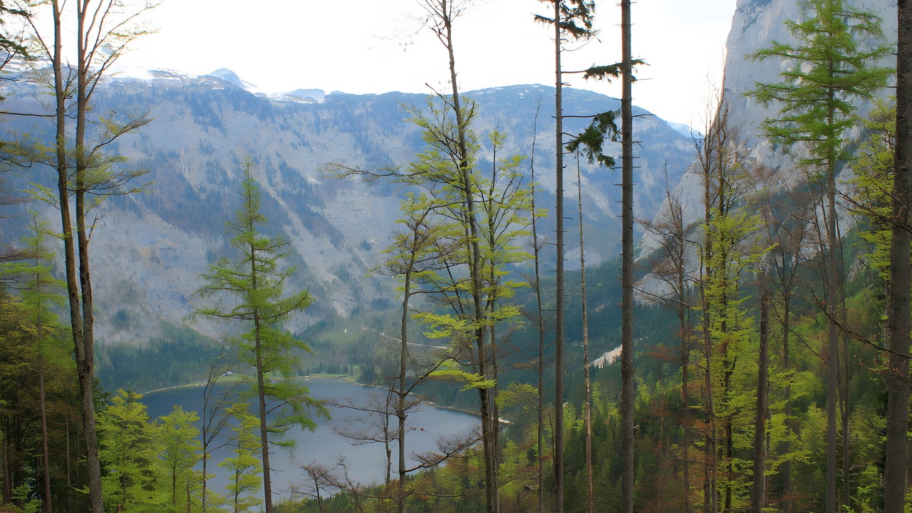 Photo of Others in Bad Mitterndorf