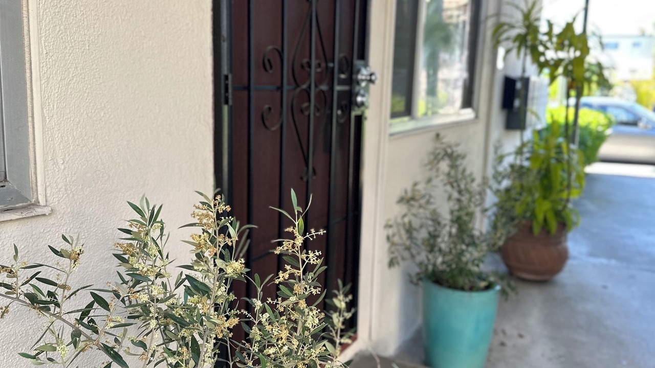 Photo of Outdoor in North Redondo