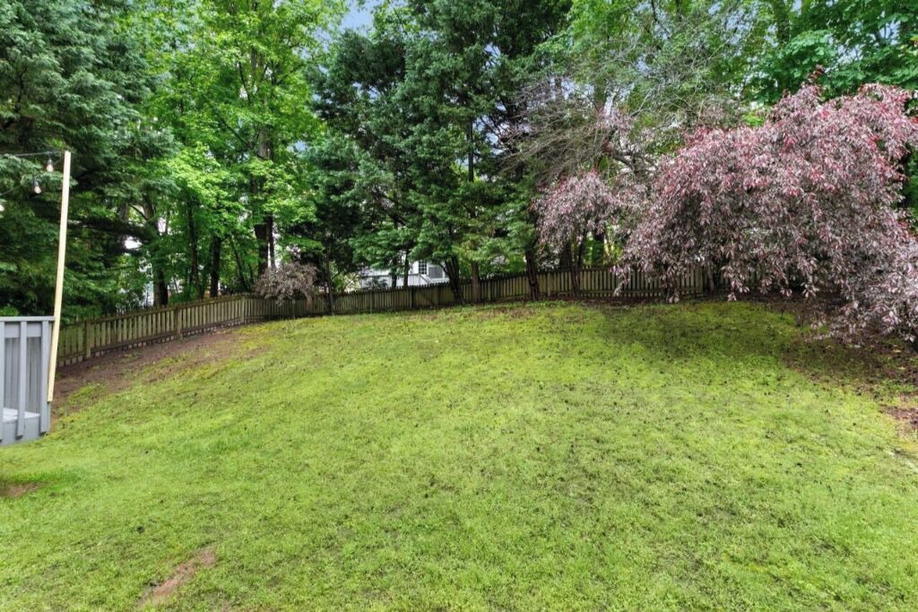 Photo of Outdoor in North Raleigh