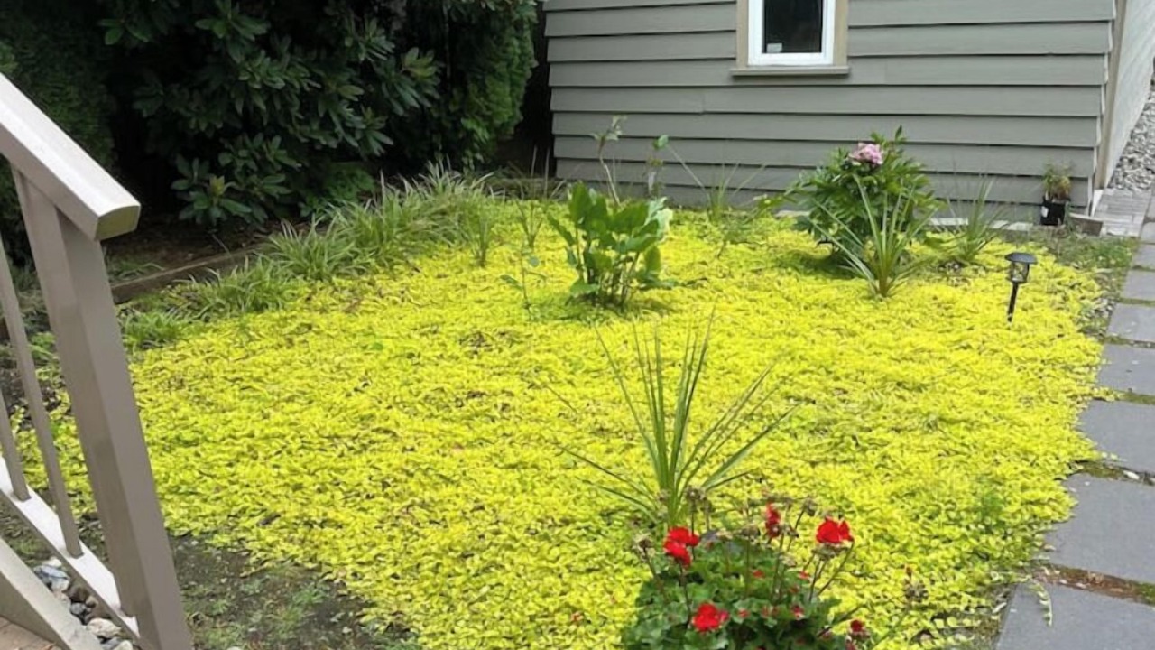 Photo of Outdoor in Arbutus Ridge