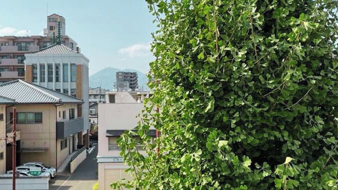 Photo of Outdoor in Chuo Ward