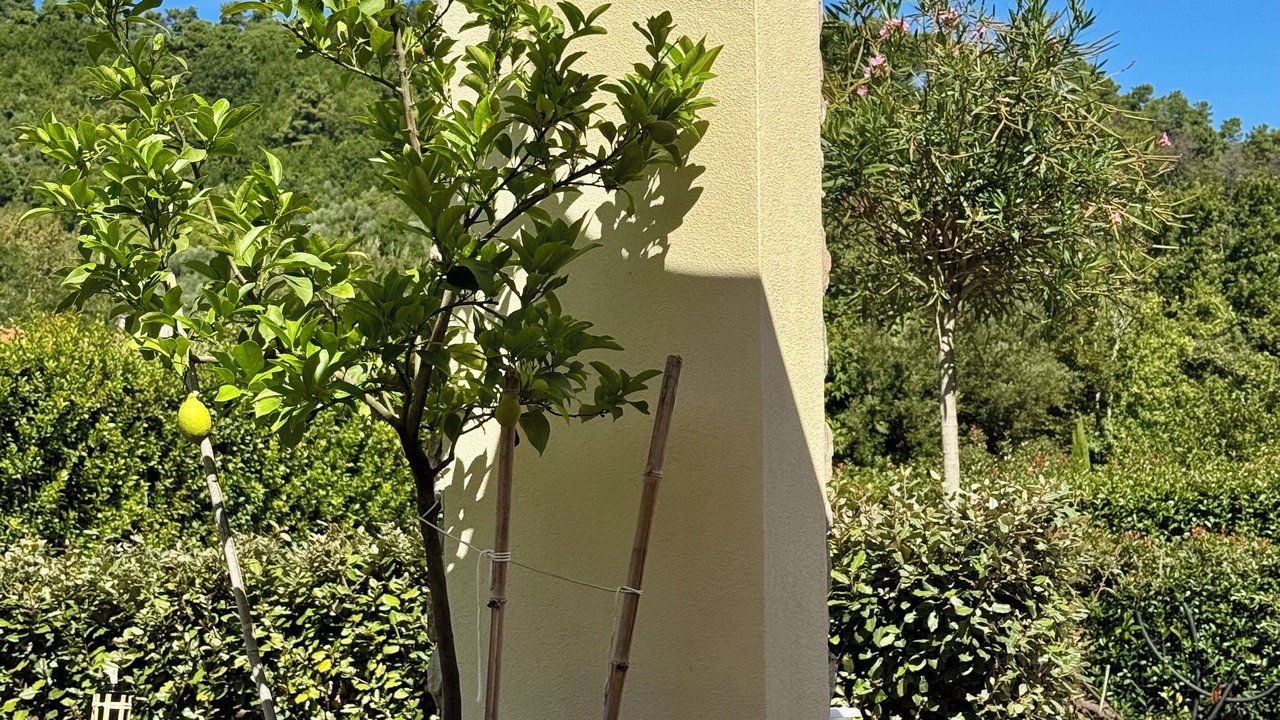 Photo of Outdoor in San Michele di Moriano