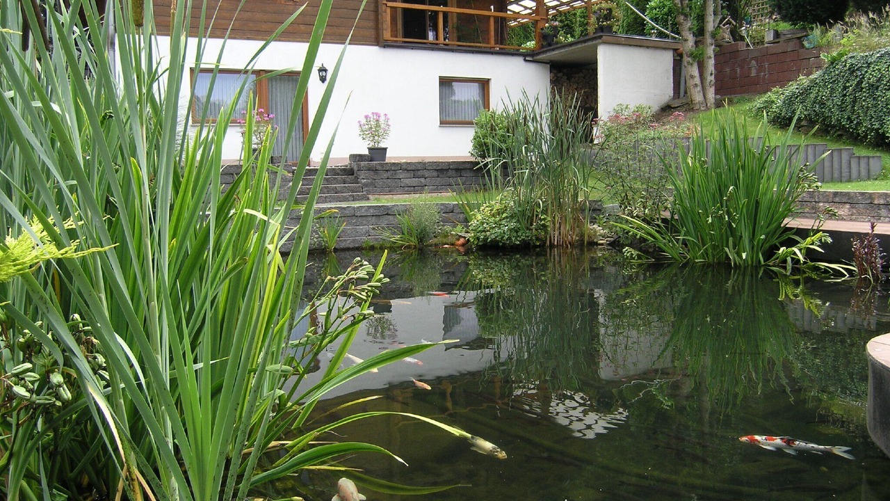 Photo of Outdoor in Dausenau