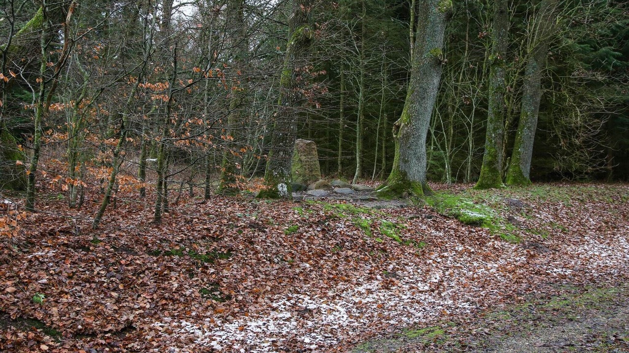 Photo of Others in Skygge