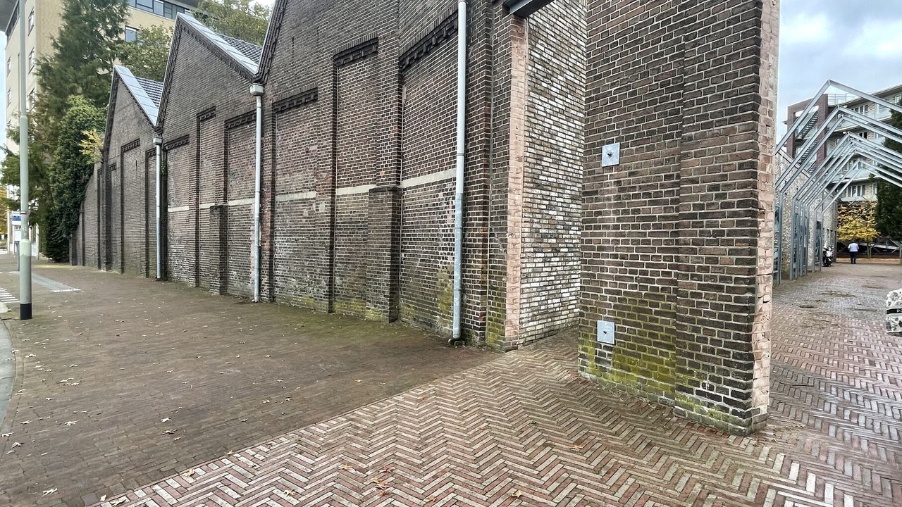 Photo of Others in Oss