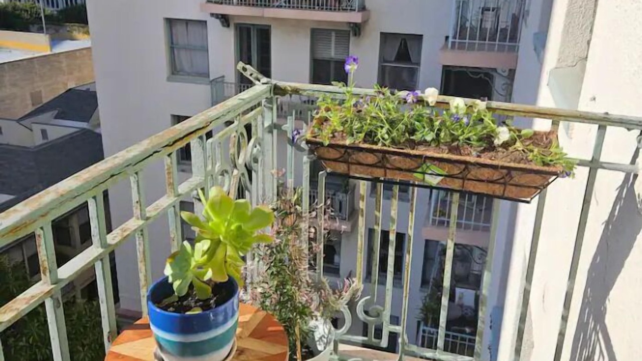 Photo of Outdoor in Downtown Long Beach