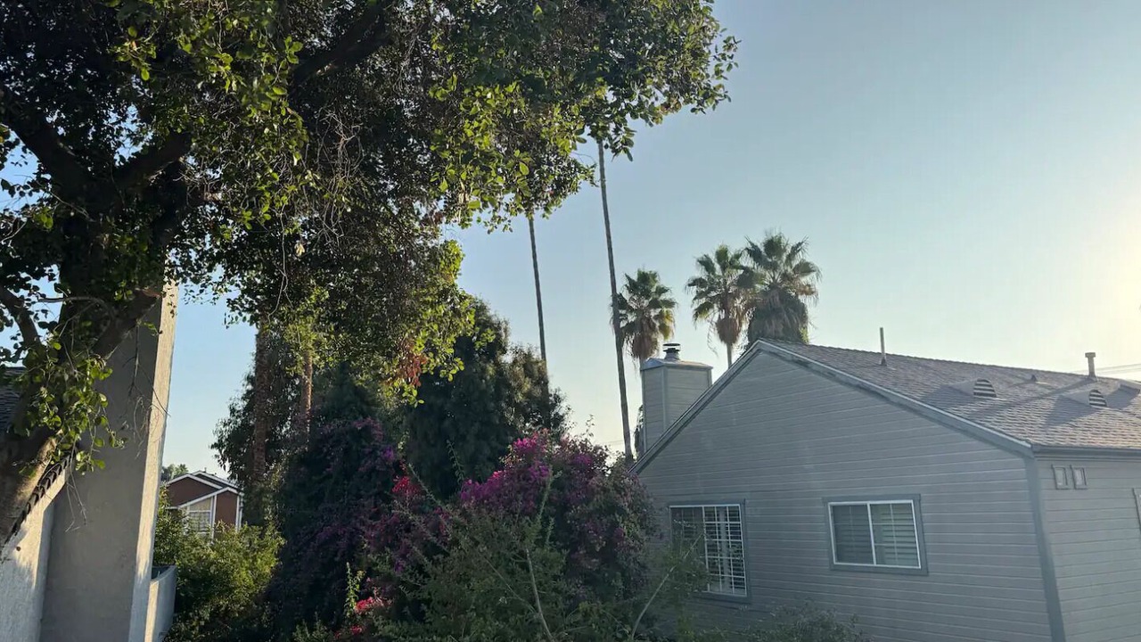 Photo of Others in Tarzana