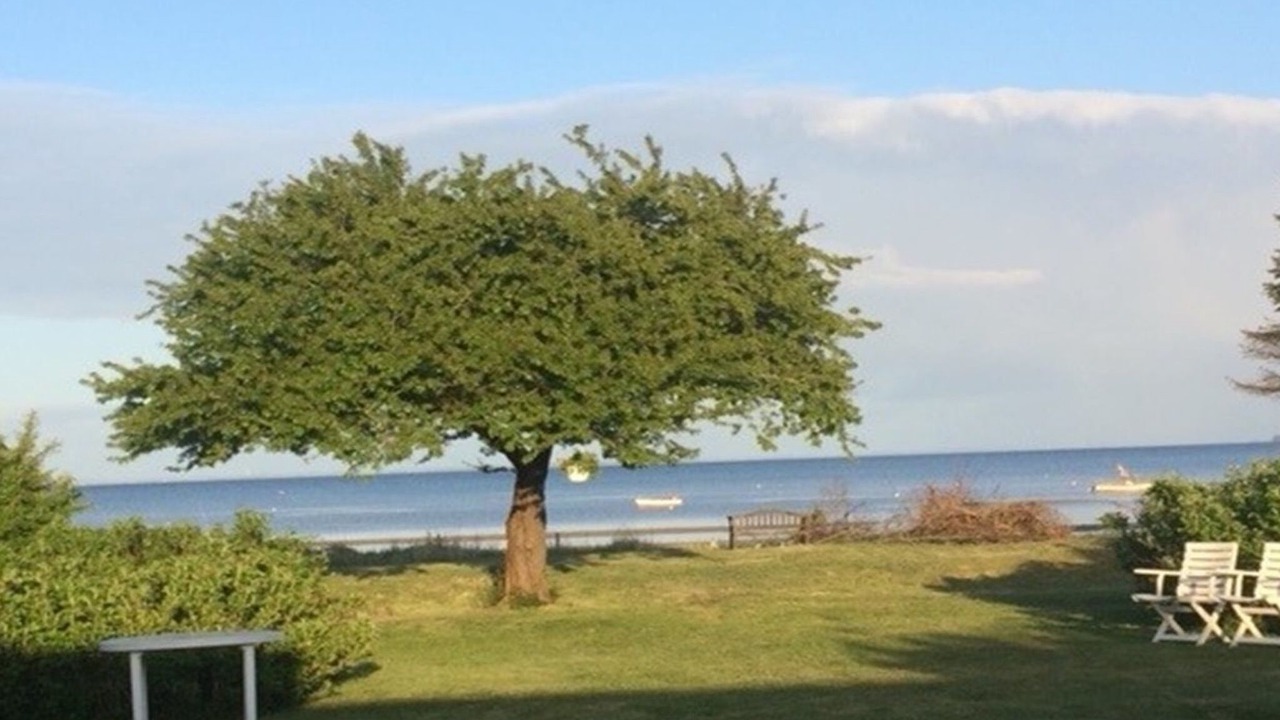 Photo of Others in Bjert