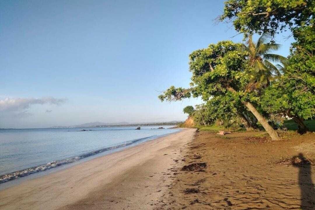 Photo of Others in Naguabo