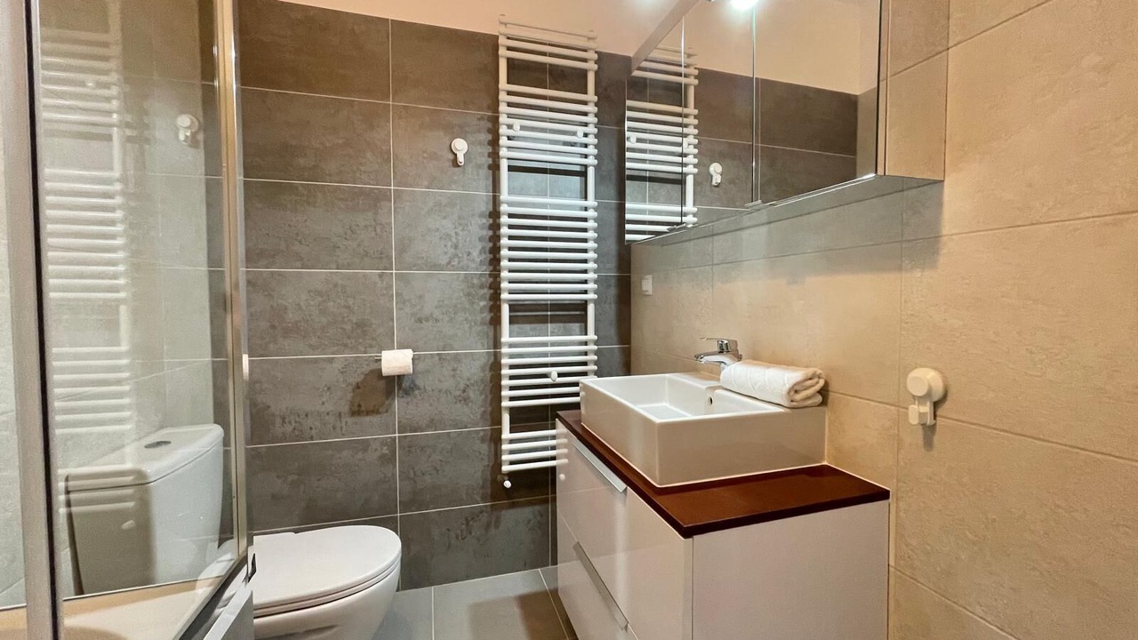 Photo of Bathroom in Pantelimon