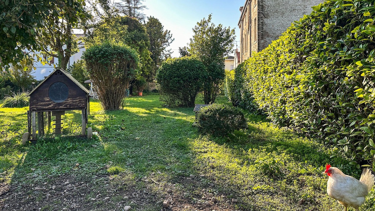 Photo of Others in San Martino Buon Albergo