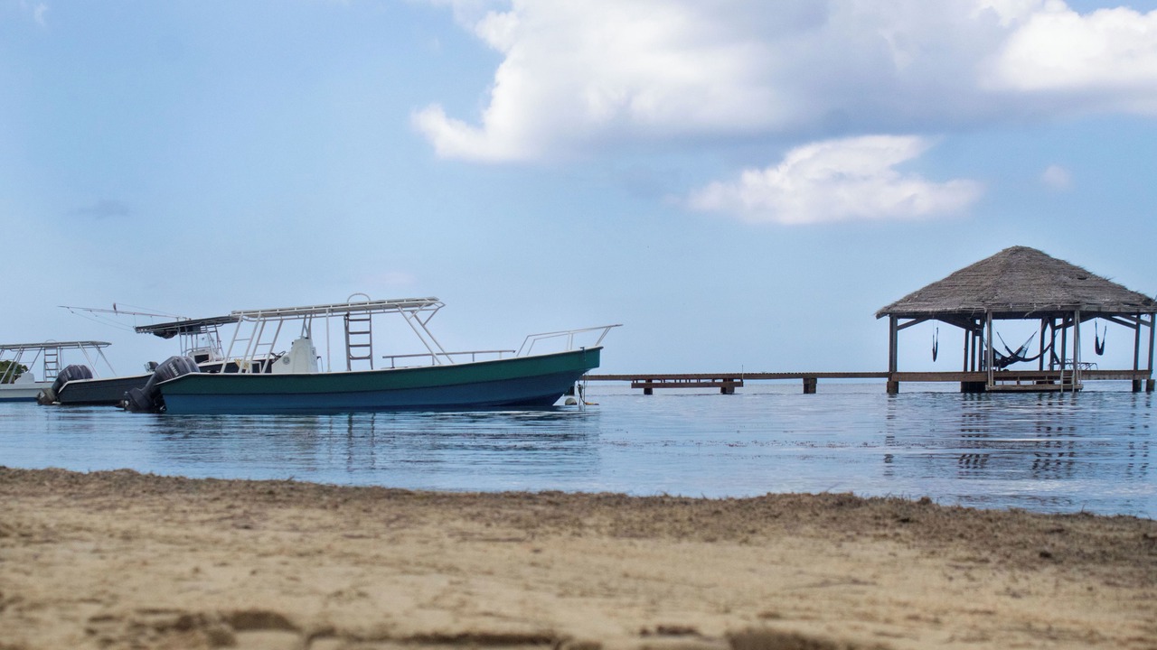 Photo of Others in Palmetto Bay
