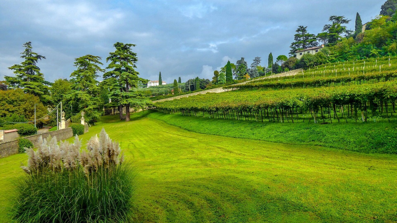 Photo of Outdoor in Colognola ai Colli