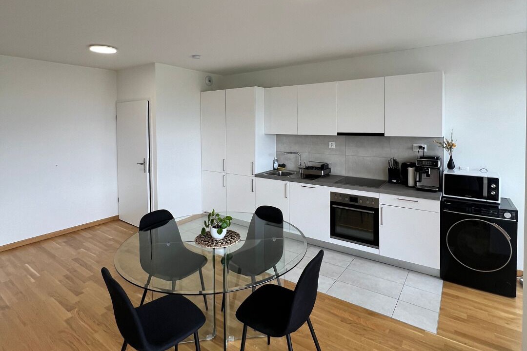 Photo of Kitchen in Petit-Saconnex / Servette