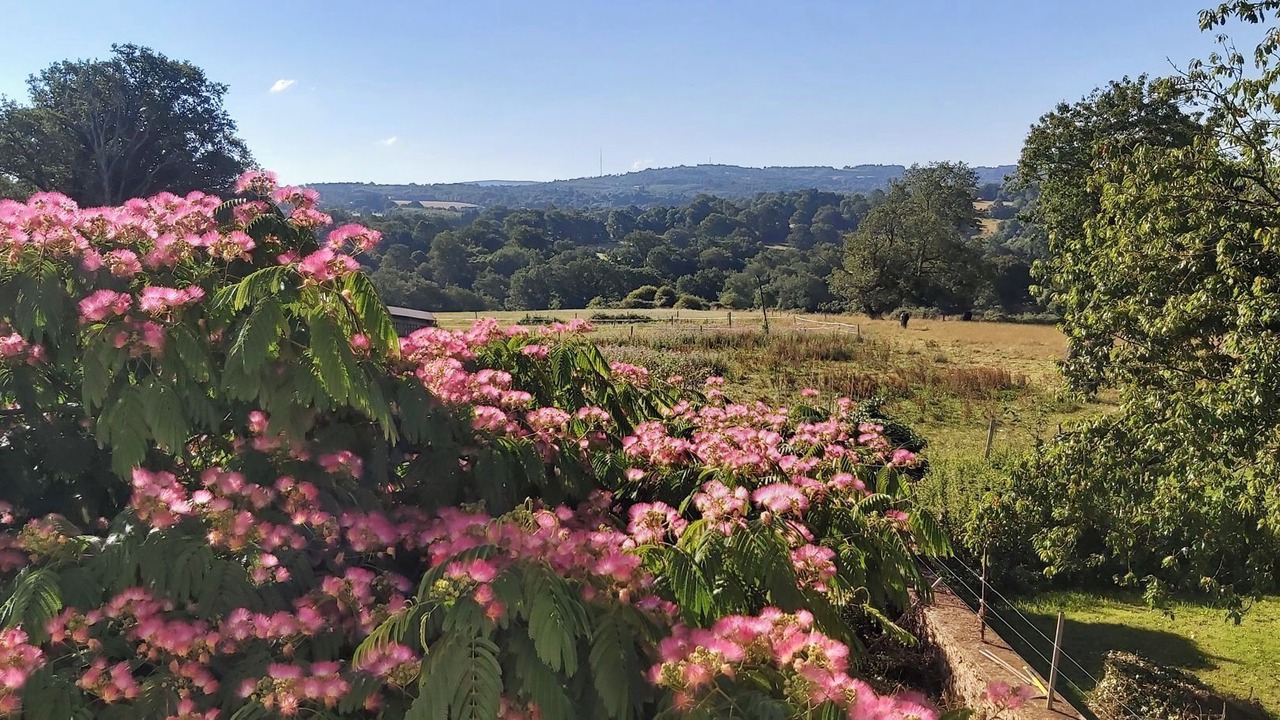 Photo of Outdoor in Champsac