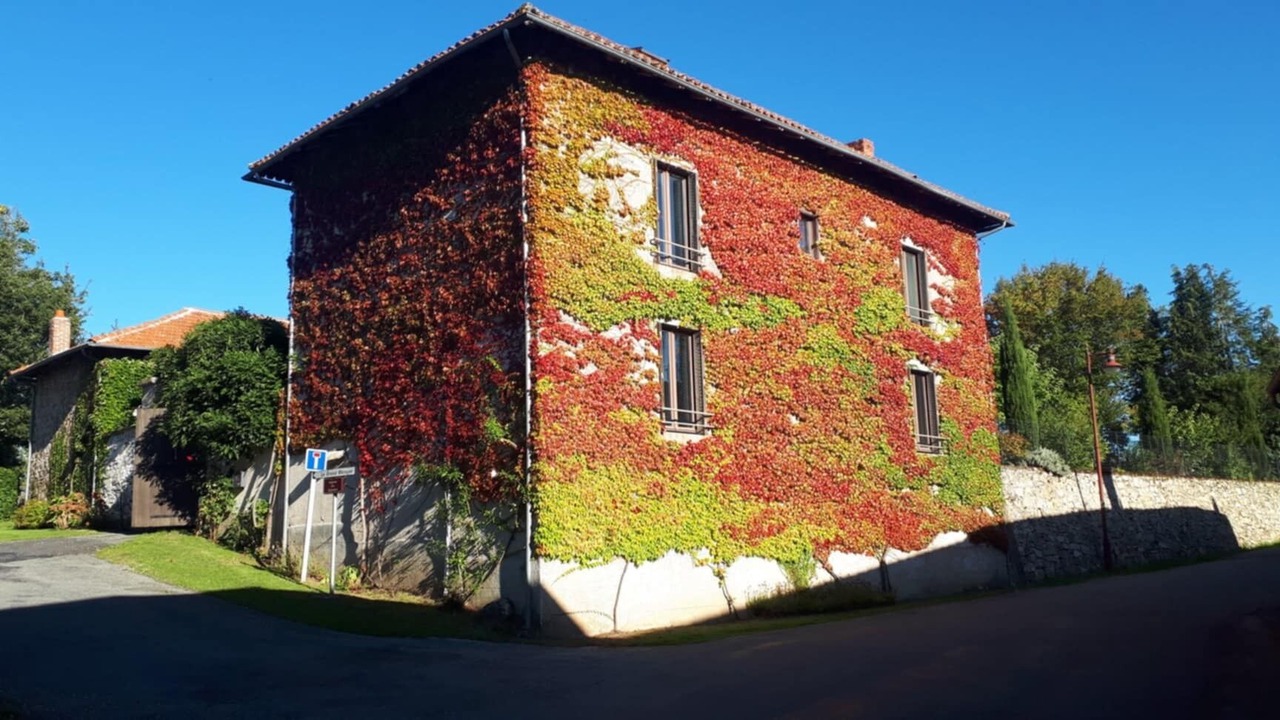 Photo of Outdoor in Jourgnac