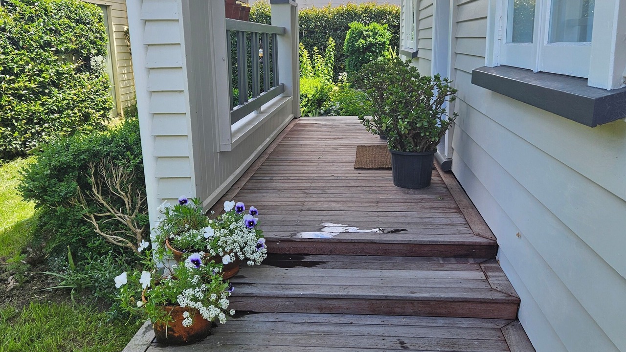 Photo of Outdoor in Frankton