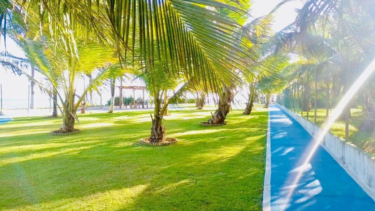 Photo of Outdoor in Vera Cruz