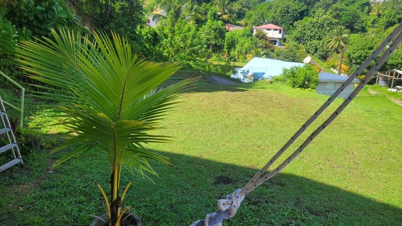 Photo of Outdoor in Caraque