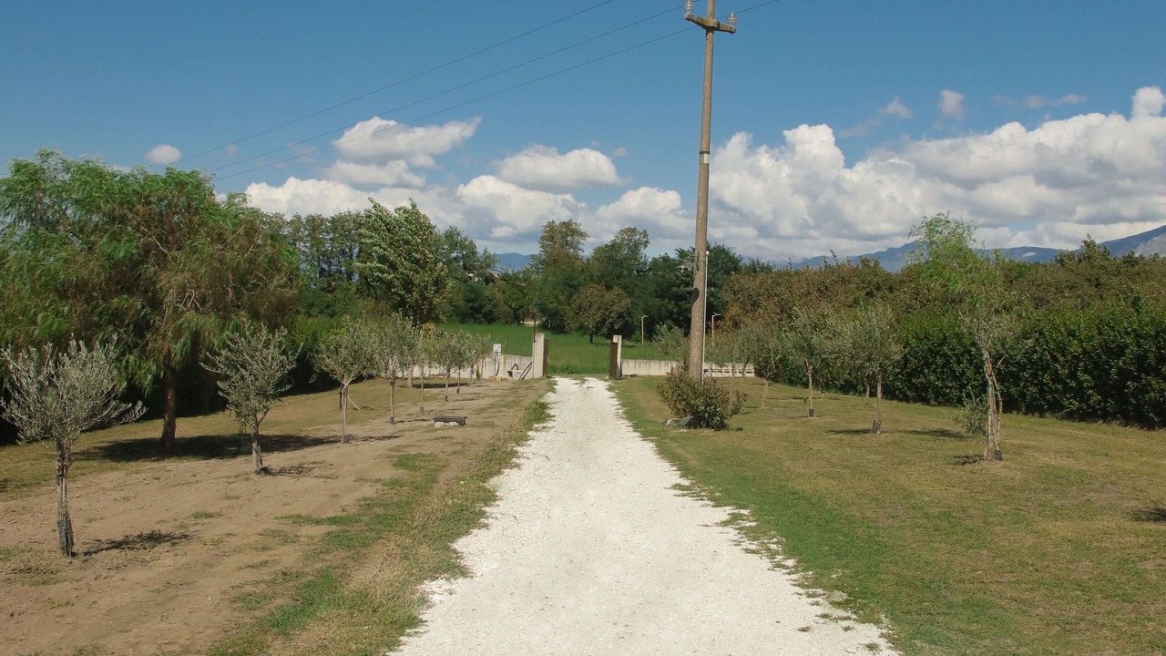 Photo of Others in Amorosi
