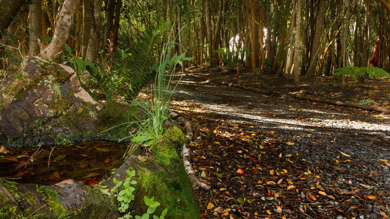 Photo of Outdoor in Ensenada