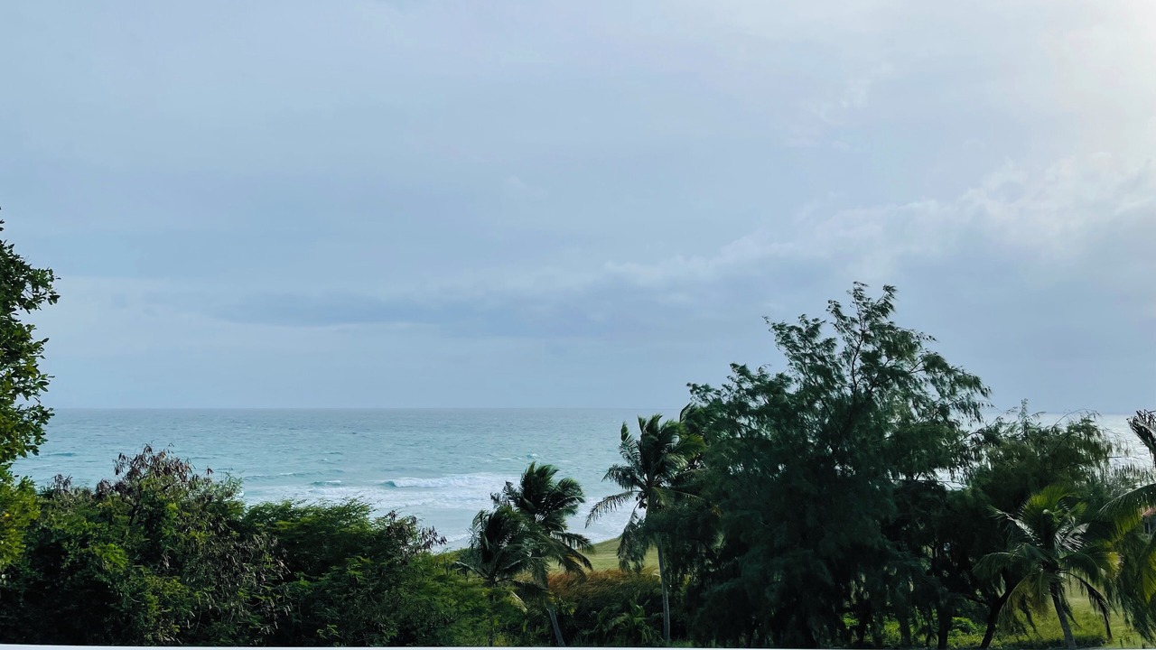 Photo of Outdoor in Grande-Terre