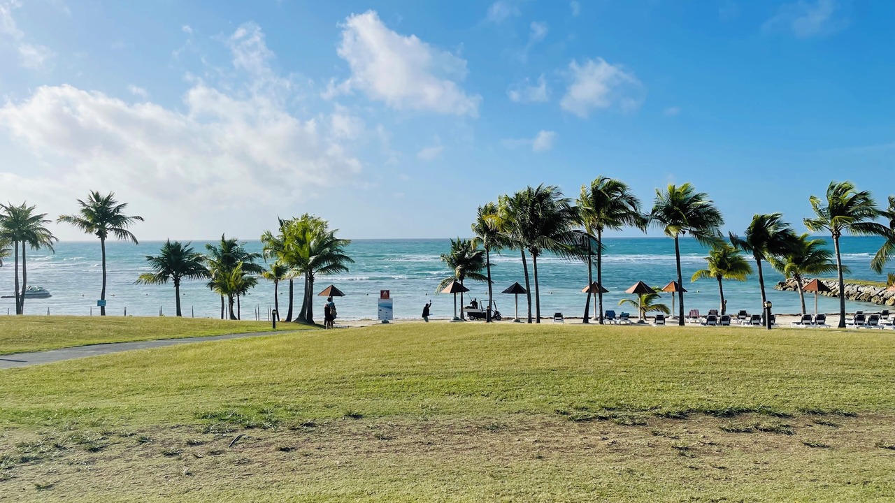 Photo of Others in Grande-Terre