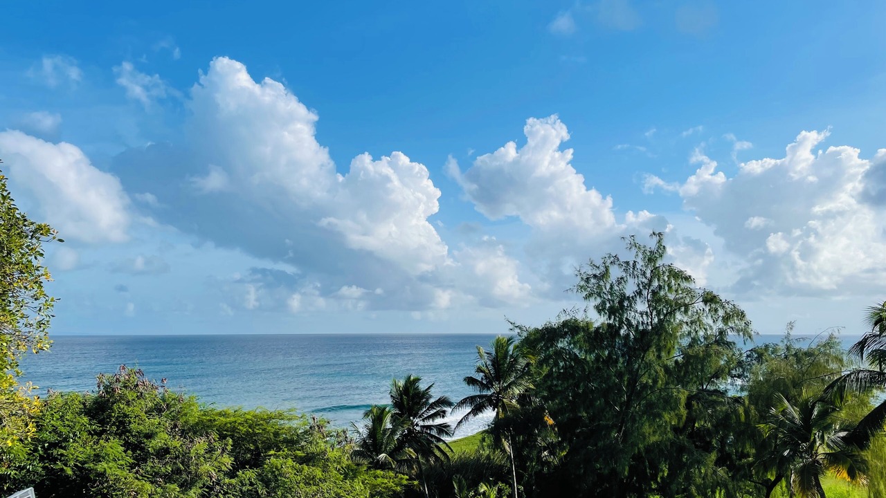 Photo of Outdoor in Grande-Terre