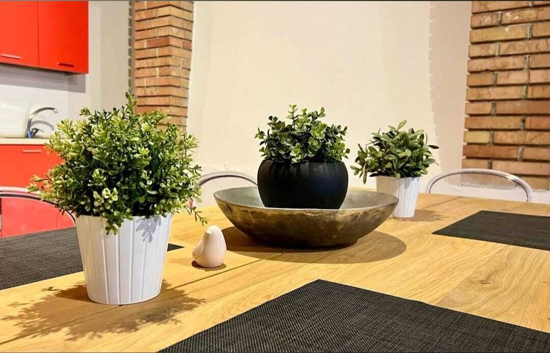 Photo of Outdoor in Vittorio Veneto