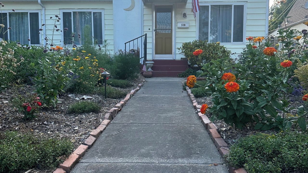 Photo of Outdoor in Medford