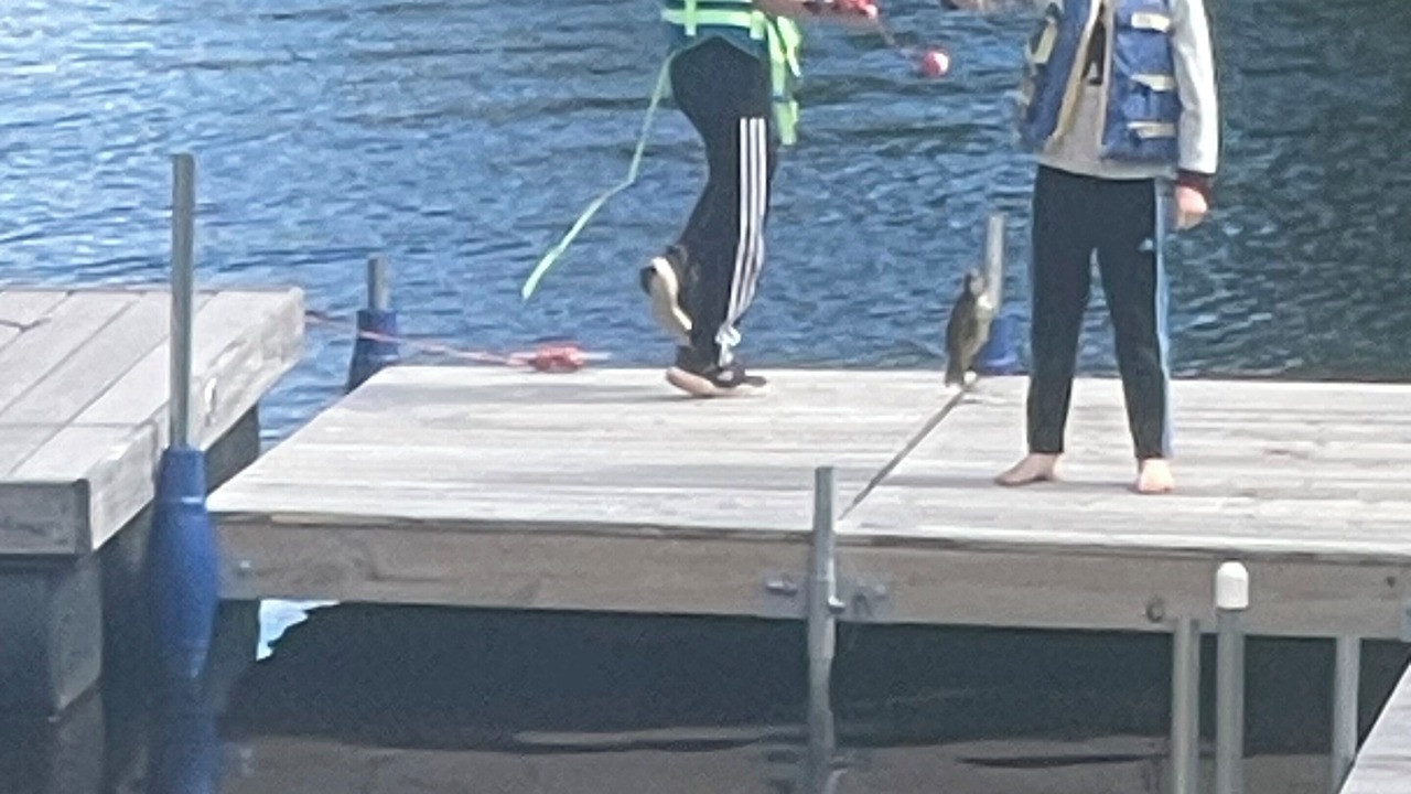 Photo of Others in Townsend