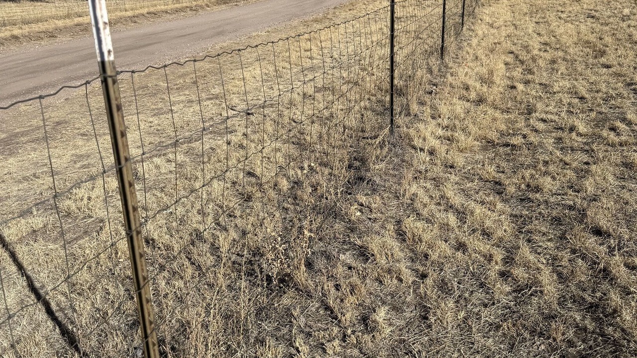 Photo of Others in Elgin