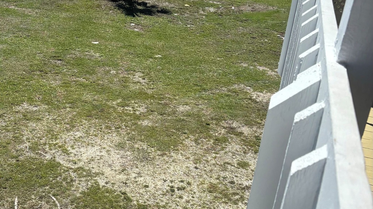 Photo of Others in Big Pine Key