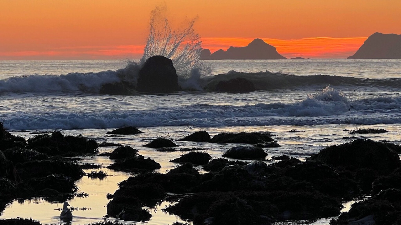 Photo of Others in Port Orford