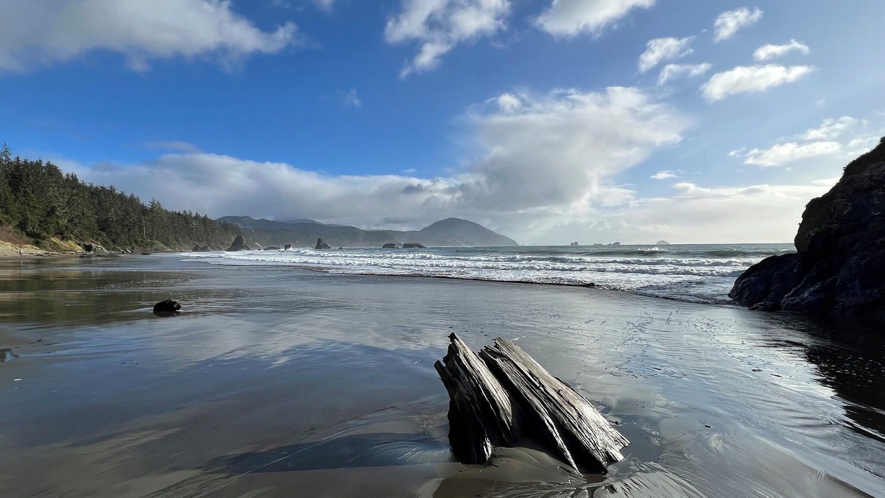 Photo of Others in Port Orford