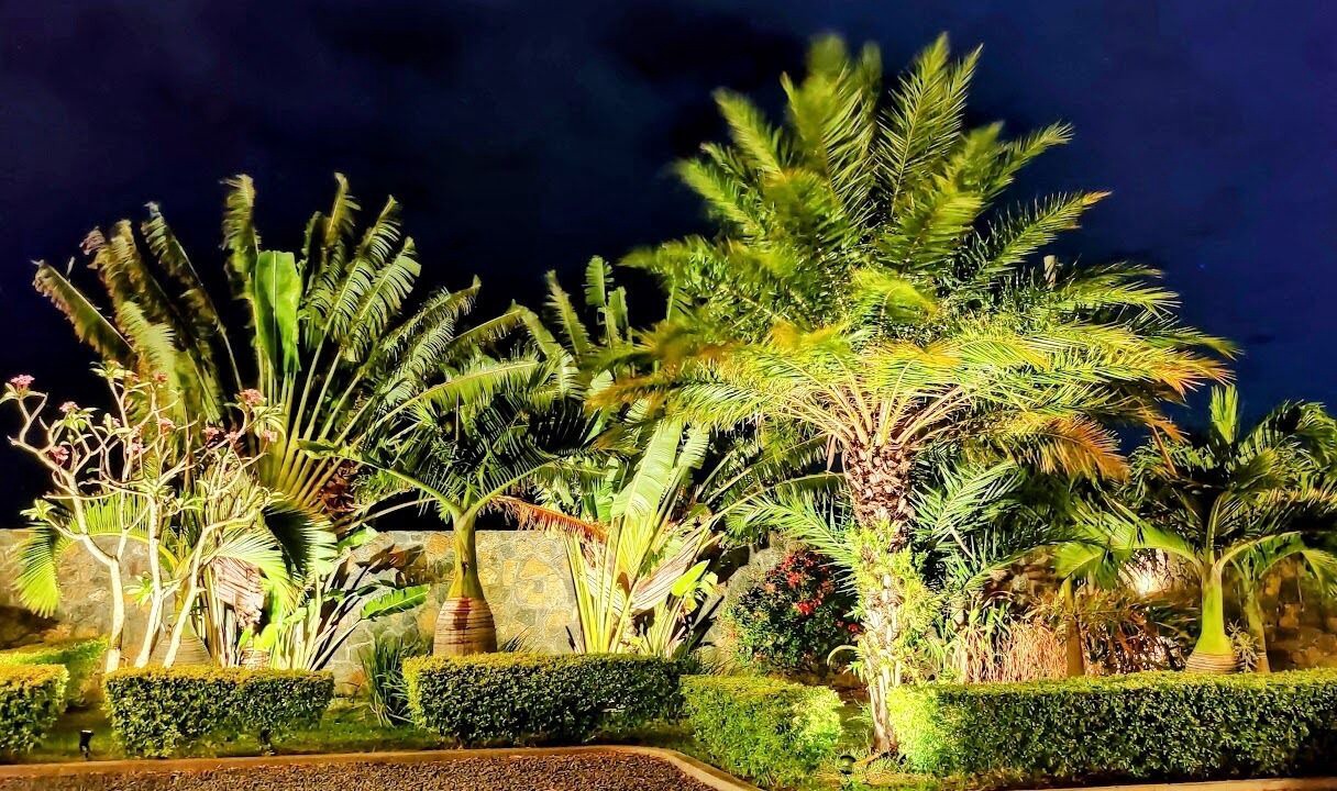 Photo of Outdoor in Candos