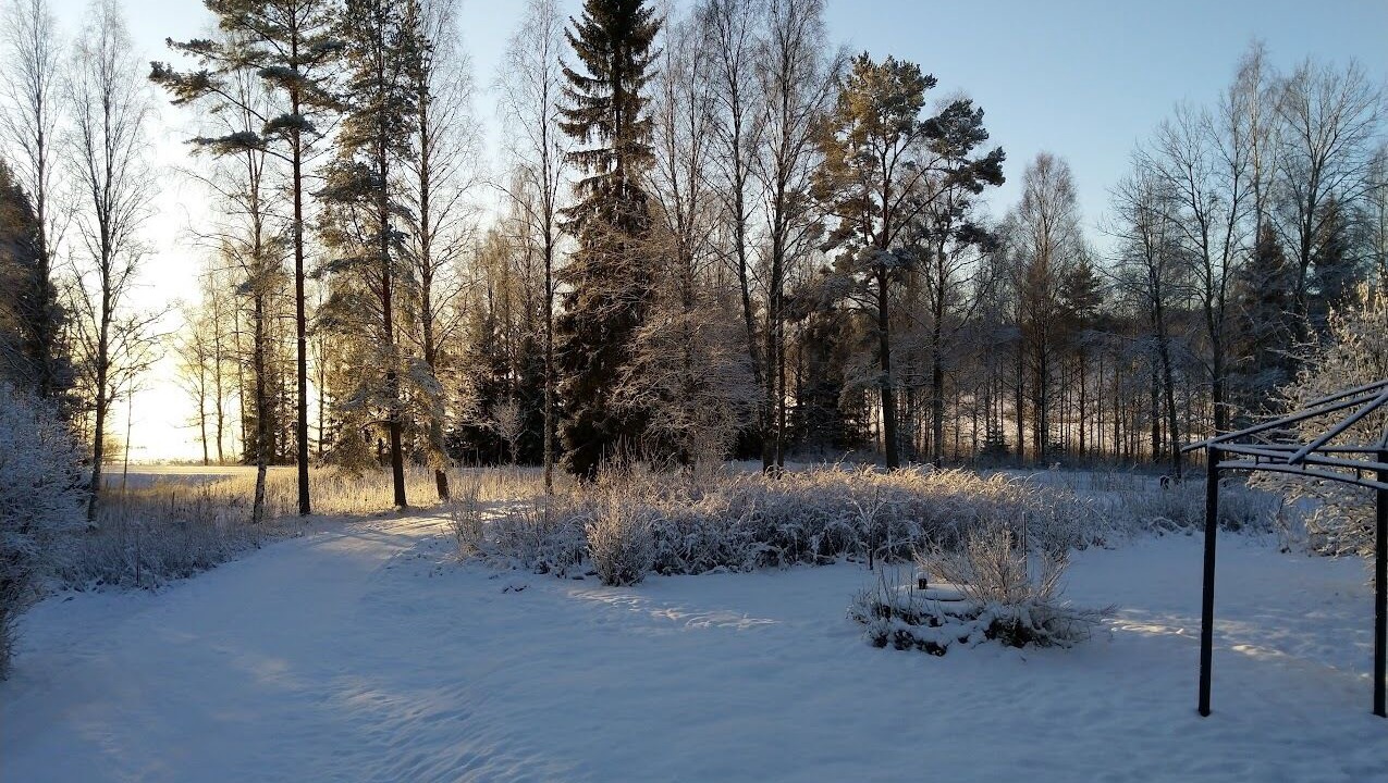 Photo of Others in Hagfors Municipality