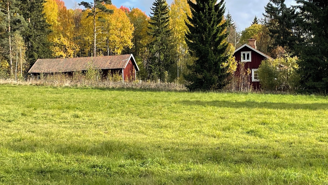 Photo of Outdoor in Hagfors Municipality