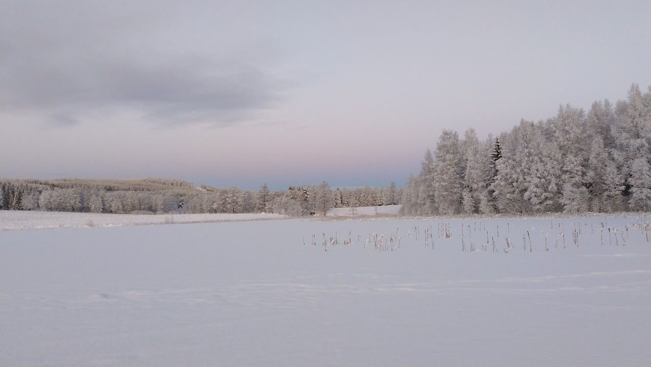 Photo of Others in Hagfors Municipality