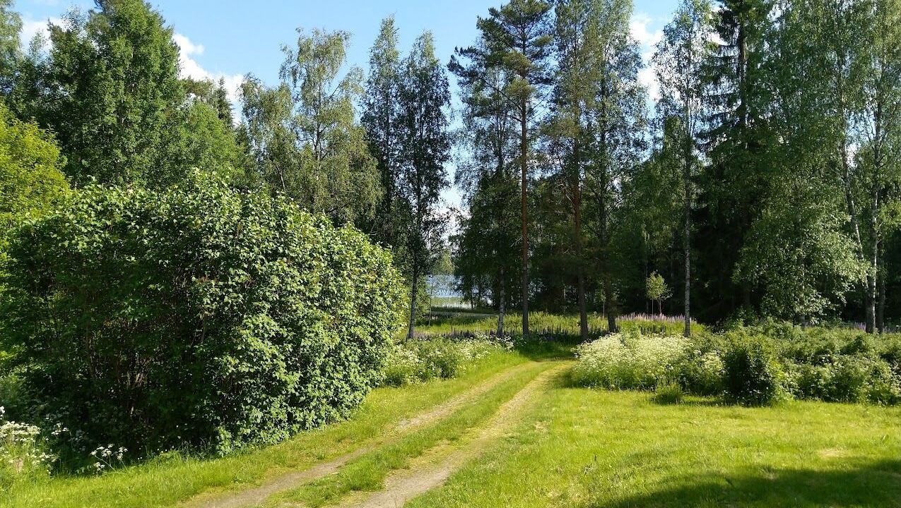 Photo of Others in Hagfors Municipality